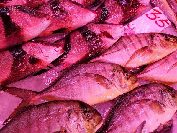 Préparation à la naissance dès le premier trimestre